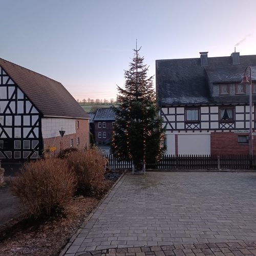 b3